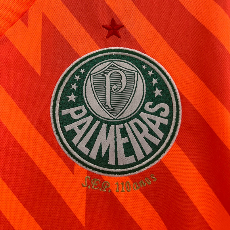 Camisa Palmeiras Goleiro - 24/25